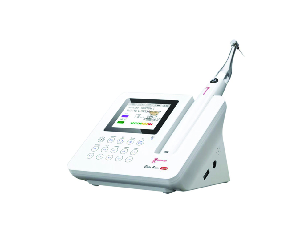 Woodpecker Endoradar